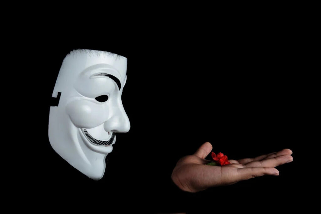 guy-fawkes-mask-and-red-flower-on-hand