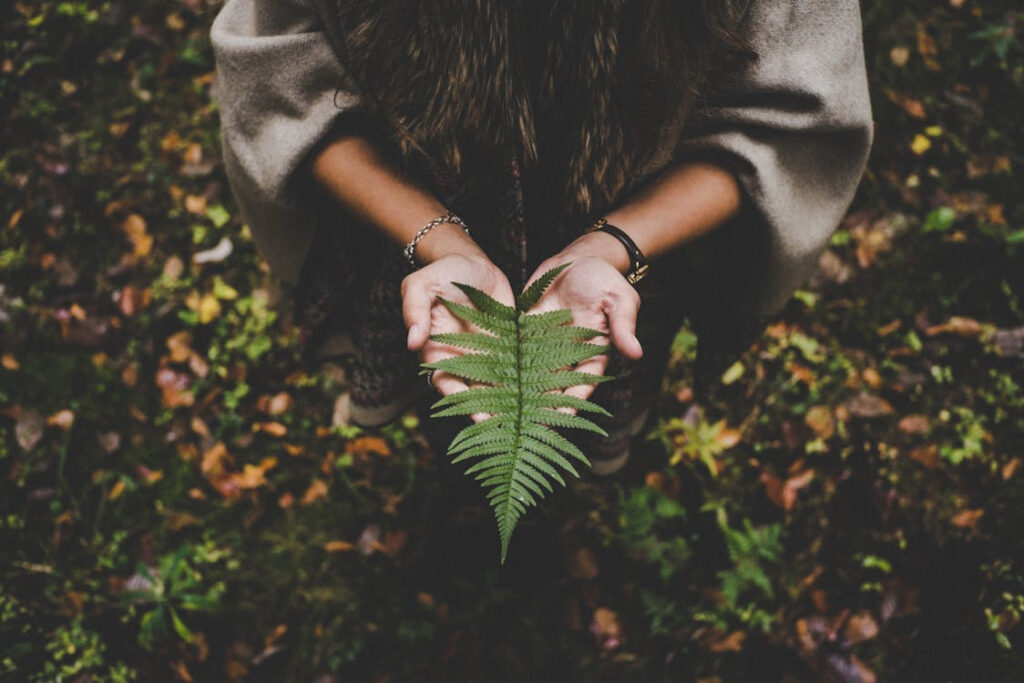 woman-holding-fern-leaf