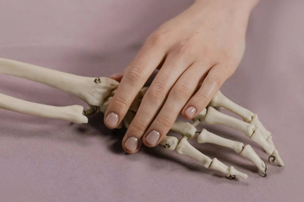 hand-touching-skeleton