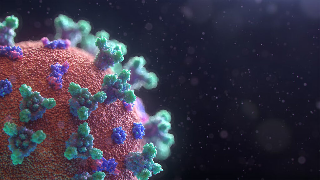 visualization-of-the-coronavirus