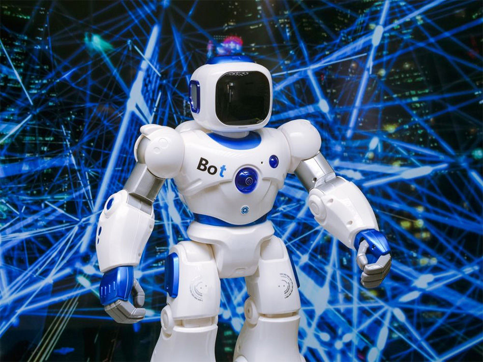 Bot